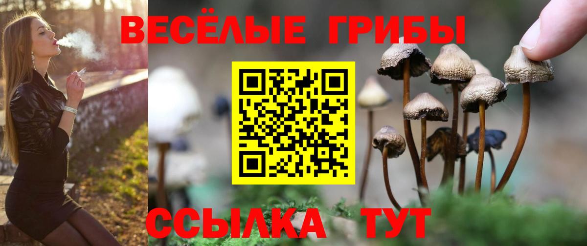 Галлюциногенные грибы мицелий Нягань