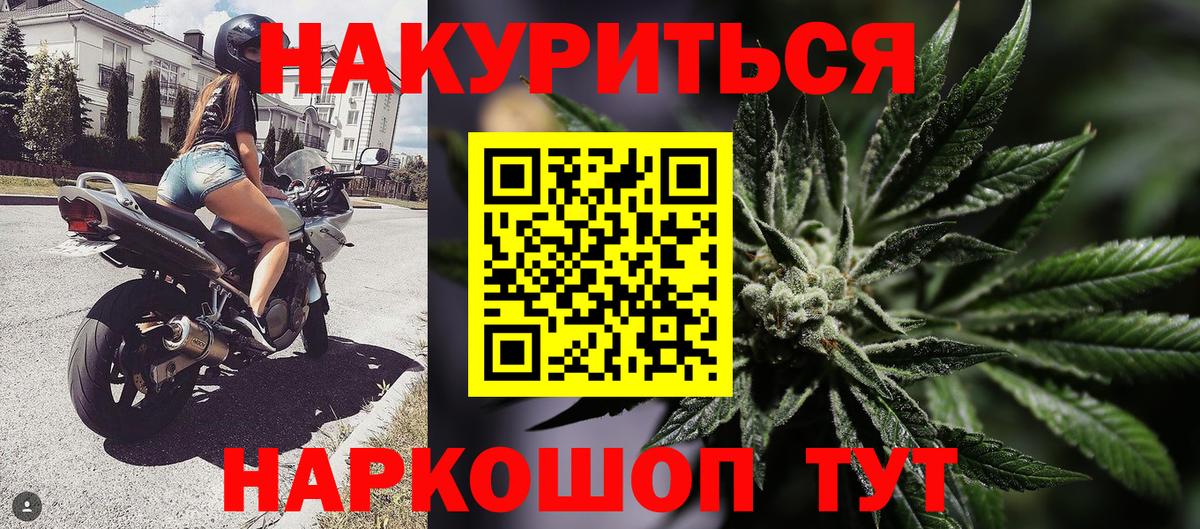 Каннабис планчик Нягань